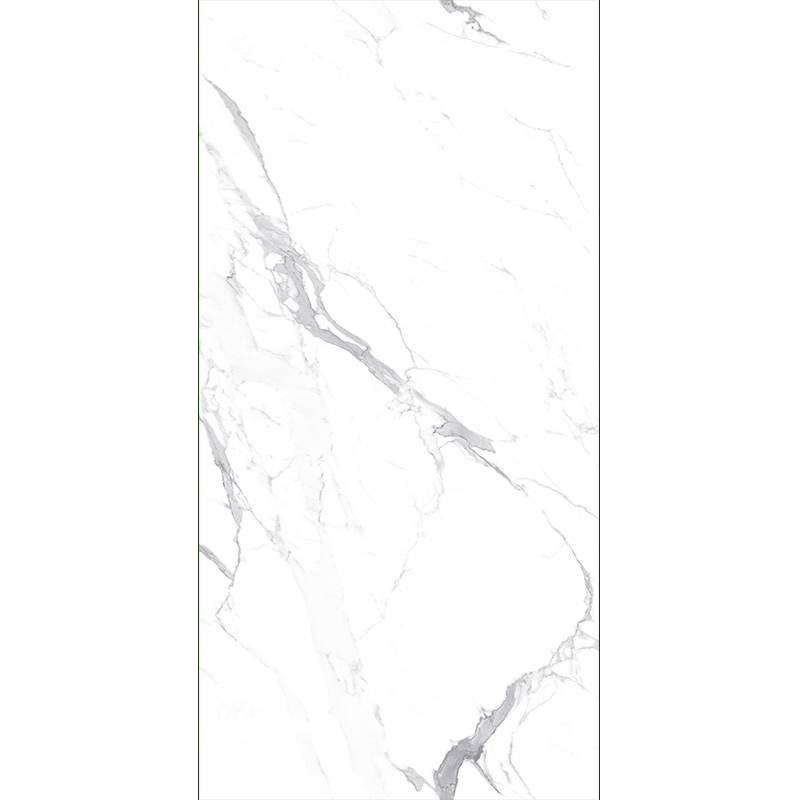 Fine Flower White  Mt159sp Sintered Stone Slabs Polished (2)