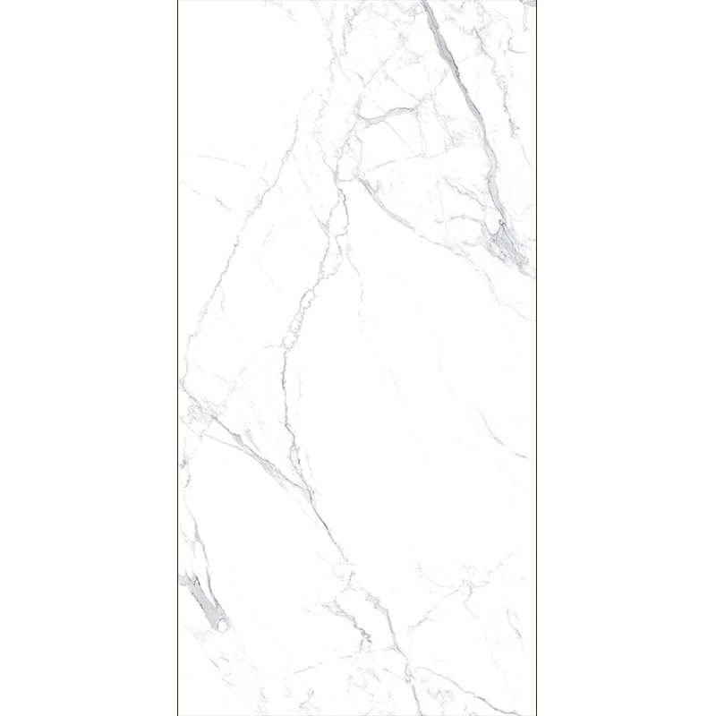 Fine Flower White  Mt159sp Sintered Stone Slabs Polished (3)