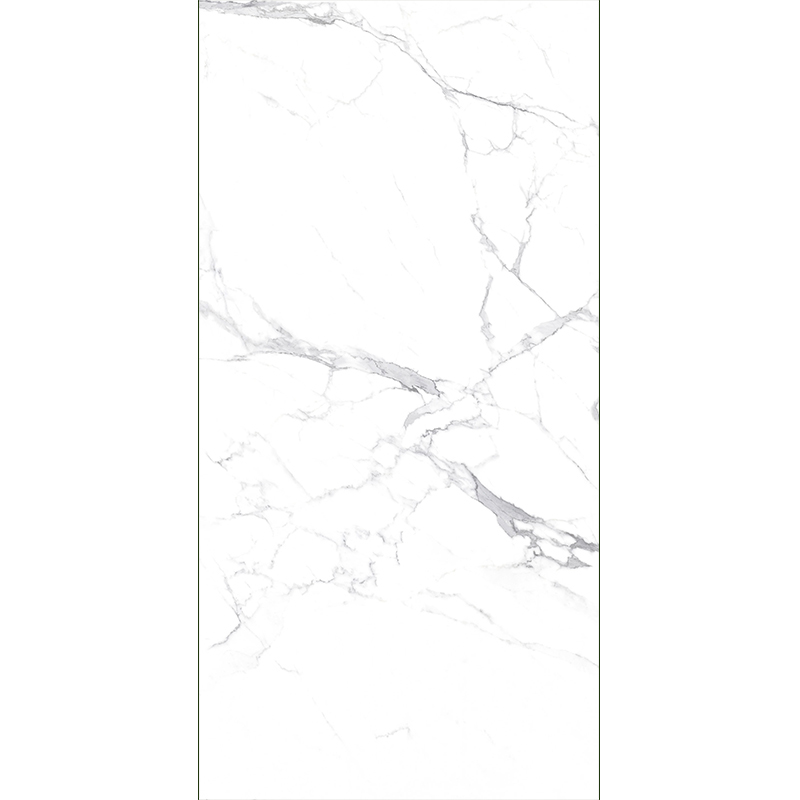 Fine Flower White  Mt159sp Sintered Stone Slabs Polished (4)