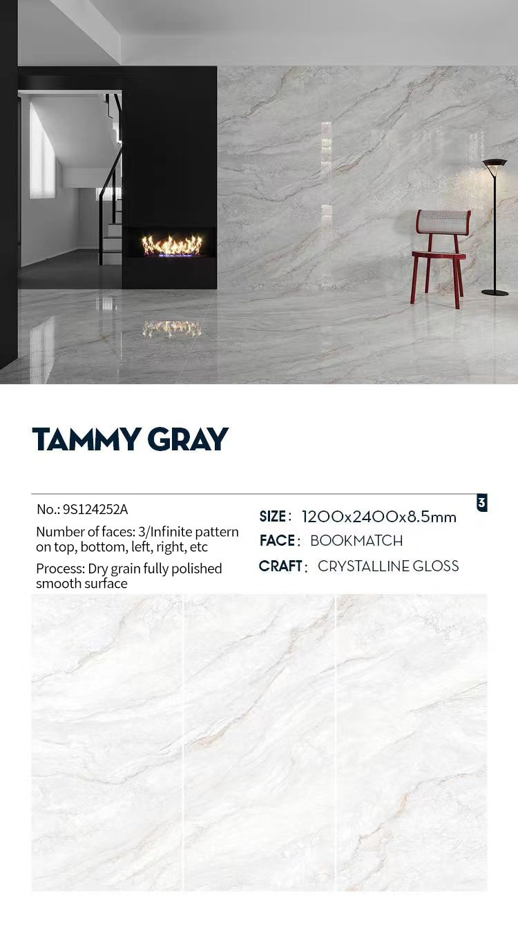 TAMMY GRAY Sintered Stone Slabs Polished (2)